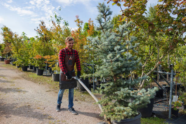 Tree Removal for Businesses in Eagle Lake, WI